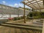 28 Harvey Street, Tauranga South, Tauranga - Carousel 4