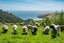 293 Heyward Point Road, Heyward Point, Port Chalmers - Carousel 16