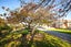 32 Pages Road, Marchwiel, Timaru - Carousel 44