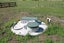 124 Johns Road, Tariki, Stratford - Carousel 20