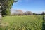 275 Drysdale Road, Myross Bush - Carousel 5