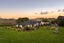 322 Dominion Road, Tuakau, Tuakau - Carousel 1