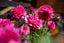 25 Patanga Crescent, Thorndon, Wellington - Carousel 16