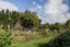 2009 Longburn Rongotea Road, Longburn, Palmerston North - Carousel 29