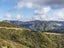 452 Southernthread Road, Brooklyn, Wellington - Carousel 14
