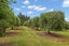 292 Vinegar Hill Road, Kauri, Kamo - Carousel 32