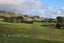 255 Lees Pakaraka Road, Te Ore Ore, Masterton - Carousel 15
