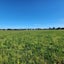 0 Tripp Settlement Road, Orari Bridge, Geraldine - Carousel 1