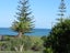 23 Hihi Road, HIHI, MANGONUI - Carousel 15