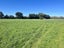 362 Lorne-Dacre Road, ROSLYN BUSH, INVERCARGILL - Carousel 11