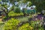 36 Totara Street, Manunui, Taumarunui - Carousel 24