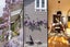 224 Collingwood Street, Nelson South, Nelson - Carousel 26