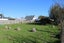 41 Cockburn Street, Kuripuni, Masterton - Carousel 2
