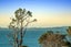 202G Big Bay Road, Manukau Heads, Franklin, Auckland - Carousel 23