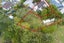 72A Cobham Crescent, Kelston, Auckland - Carousel 12