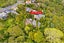28A Waipa Street, Birkenhead, Auckland - Carousel 24