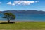 358 Saint Kilda Road, MARLBOROUGH SOUNDS, MARLBOROUGH - Carousel 15