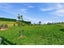 164 Esler Road, Sutherlands, Pleasant Point - Carousel 42