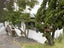 1/284 Sunset Road, Windsor Park, Auckland - Carousel 1