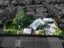 24 Tawa Road, Onehunga, Auckland - Carousel 6