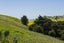 0 Hailes Road, Whananaki, Hikurangi - Carousel 4