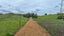 880 Kopuku Road, Maramarua Forest, Te Kauwhata - Carousel 11