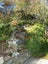 42 Horokiwi Road West, Newlands, Wellington - Carousel 18