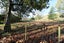 0 Ahiaruhe Rd, Ahiaruhe, Carterton - Carousel 18