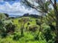 99 Mangamanihi Road, Kaeo - Carousel 6