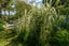 189 Waikino Road, Karetu, Kawakawa - Carousel 47