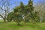 3810 State Highway 26, Waitoa, Waitoa - Carousel 5