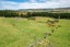 405 Nightcaps-Ohai Highway, OHAI, OTAUTAU - Carousel 36