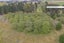 145 Adair Road, Adair - Carousel 31