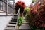 12A Bellevue Street, Belleknowes, Dunedin - Carousel 24