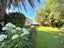 161 Campbell Road, One Tree Hill, Auckland - Carousel 17