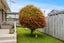 5/33 Swanson Road, Henderson, Auckland - Carousel 23
