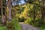 240 Cave Road, Waimatā - Carousel 16