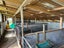 1084 State Highway 67, MOKIHINUI, WESTPORT - Carousel 26