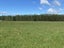 562B Earnscleugh Road, Earnscleugh, Alexandra - Carousel 7