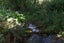 32 Icarus Place, Sunnybrook, Rotorua - Carousel 21