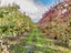 104 Hoggs Road, Kuku, Levin - Carousel 5