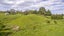 871A WAINUI RD, WAINUI, OPOTIKI - Carousel 12