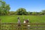 123 Goodericks Road, Christchurch - Carousel 25
