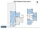 22B Charlenne Close, Ranui, Auckland - Carousel 5