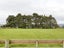 18 Melford Lane, Bunnythorpe, Palmerston North - Carousel 24