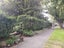 11 Empire Road, Epsom, Auckland - Carousel 18