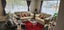 40 Wiltshire Drive, Huntington, Hamilton - Carousel 3