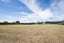 584 State Highway 1, Kuku, Levin - Carousel 22