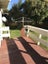 3 Titoki Road, Waikanae Beach, Waikanae - Carousel 9