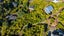 4 Puketutu Rise, Hillsborough, Auckland City, Auckland - Carousel 6